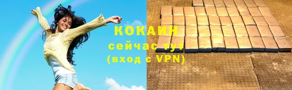 крисы Абаза
