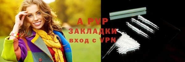 крисы Абаза