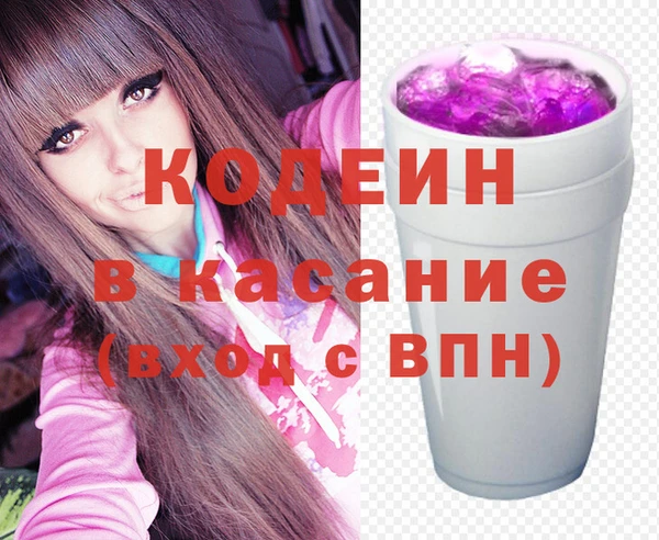 крисы Абаза