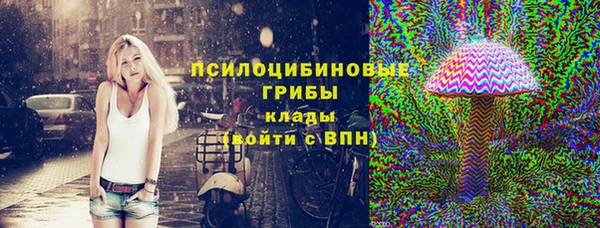 крисы Абаза