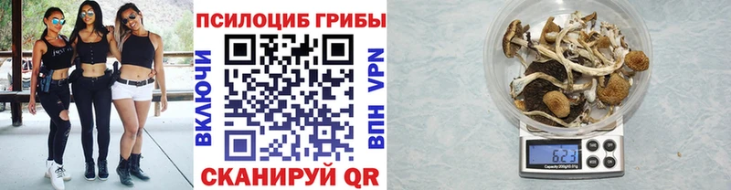 Галлюциногенные грибы MAGIC MUSHROOMS  Рыльск 